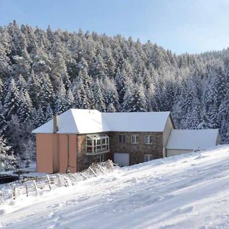 Gite Gretel De La Ferme Du Schneeberg Wangenbourg-Engenthal Dış mekan fotoğraf