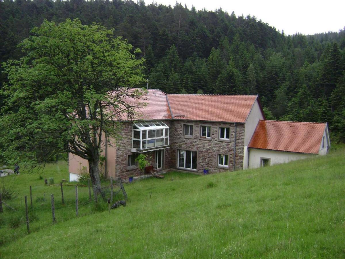 Gite Gretel De La Ferme Du Schneeberg Wangenbourg-Engenthal Dış mekan fotoğraf