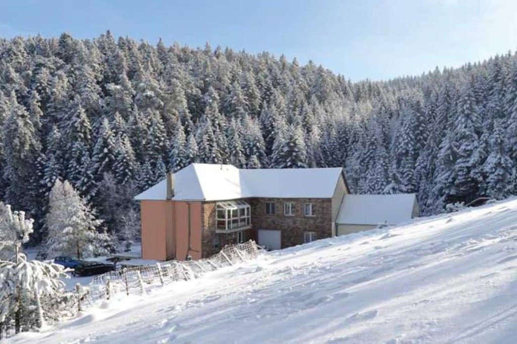 Gite Gretel De La Ferme Du Schneeberg Wangenbourg-Engenthal Dış mekan fotoğraf