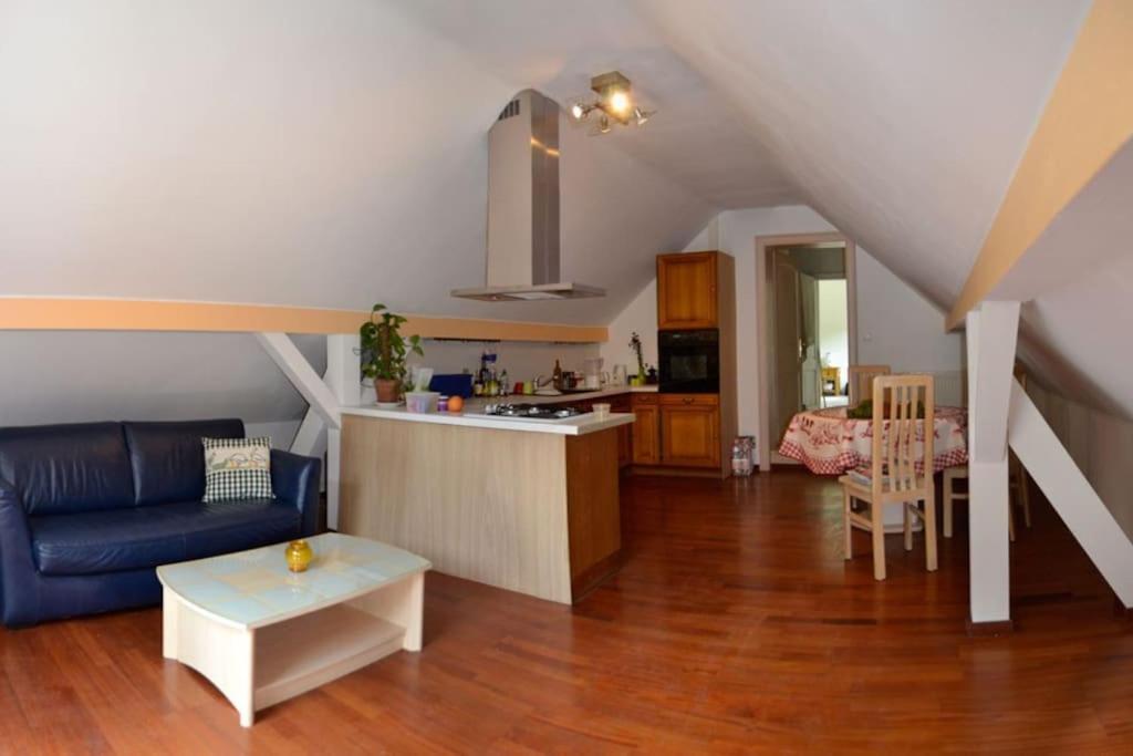 Gite Gretel De La Ferme Du Schneeberg Wangenbourg-Engenthal Dış mekan fotoğraf