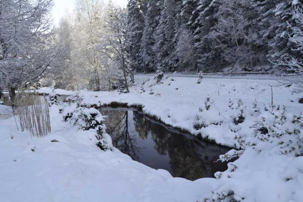 Gite Gretel De La Ferme Du Schneeberg Wangenbourg-Engenthal Dış mekan fotoğraf