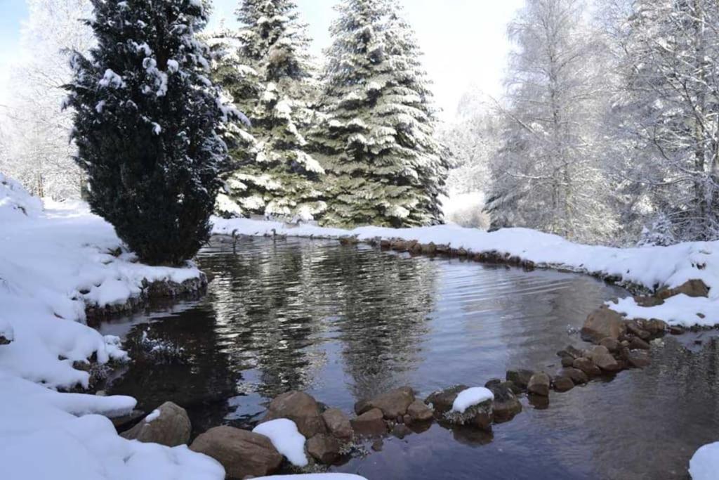 Gite Gretel De La Ferme Du Schneeberg Wangenbourg-Engenthal Dış mekan fotoğraf