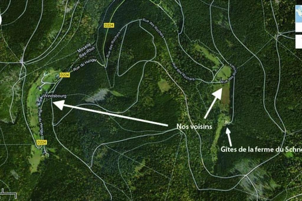 Gite Gretel De La Ferme Du Schneeberg Wangenbourg-Engenthal Dış mekan fotoğraf